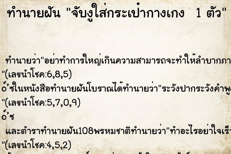 ทำนายฝันทำนายฝันจับงูใส่กระเป๋ากางเกง1ตัว